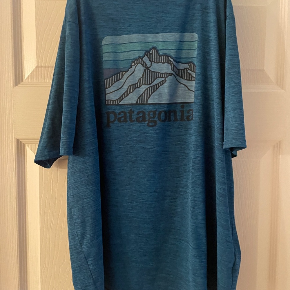 Patagonia Men's Teal Mountain Graphic Tee